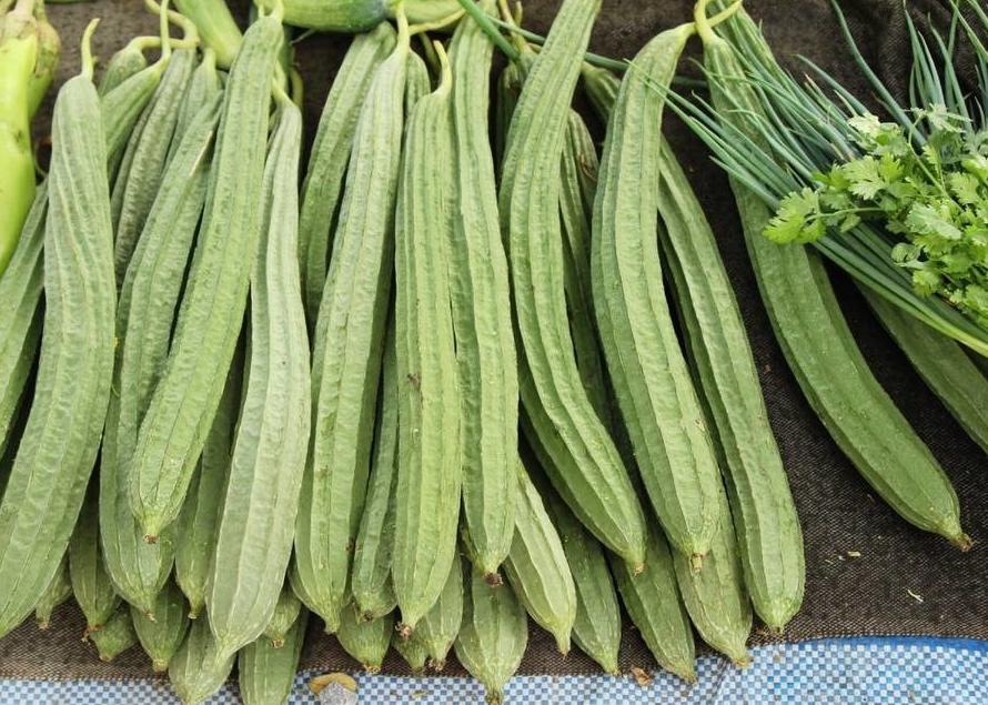 正春清綠茶
